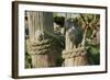 Old Ropes Wrapped Around Dock Post-Anthony Paladino-Framed Giclee Print