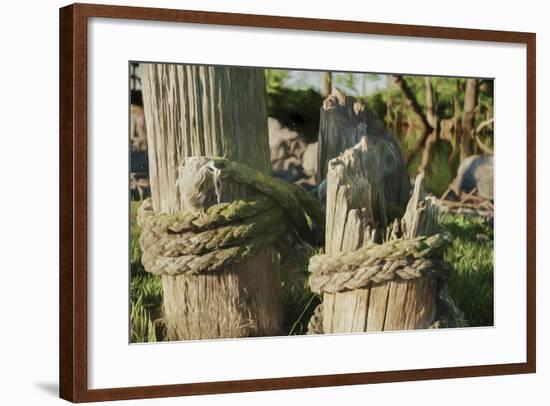 Old Ropes Wrapped Around Dock Post-Anthony Paladino-Framed Giclee Print