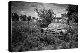 Old Rusting Truck-Stephen Arens-Stretched Canvas