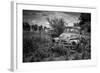 Old Rusting Truck-Stephen Arens-Framed Photographic Print