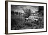 Old Rusting Truck-Stephen Arens-Framed Photographic Print