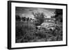 Old Rusting Truck-Stephen Arens-Framed Photographic Print