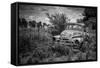 Old Rusting Truck-Stephen Arens-Framed Stretched Canvas