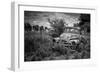 Old Rusting Truck-Stephen Arens-Framed Photographic Print