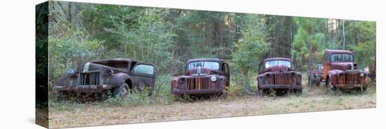 Old Rusty Cars and Trucks on Route 319, Crawfordville, Wakulla County, Florida, USA-null-Stretched Canvas