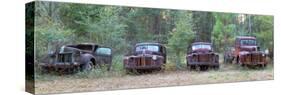 Old Rusty Cars and Trucks on Route 319, Crawfordville, Wakulla County, Florida, USA-null-Stretched Canvas