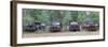 Old Rusty Cars and Trucks on Route 319, Crawfordville, Wakulla County, Florida, USA-null-Framed Premium Photographic Print