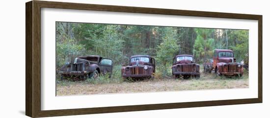 Old Rusty Cars and Trucks on Route 319, Crawfordville, Wakulla County, Florida, USA-null-Framed Photographic Print