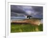 Old Rusty Lobster Boat on a Grassy Bank by the Ocean in Nova Scotia-Frances Gallogly-Framed Photographic Print