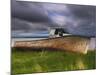 Old Rusty Lobster Boat on a Grassy Bank by the Ocean in Nova Scotia-Frances Gallogly-Mounted Photographic Print