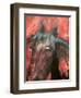 Old Sad Eyes-Ruth Palmer-Framed Art Print