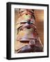 Old Saddles, Richardsons Trading Post, New Mexico, Usa-Julian McRoberts-Framed Photographic Print