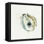 Old Salt Shell I-Emma Caroline-Framed Stretched Canvas