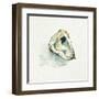 Old Salt Shell II-Emma Caroline-Framed Art Print