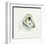 Old Salt Shell II-Emma Caroline-Framed Art Print