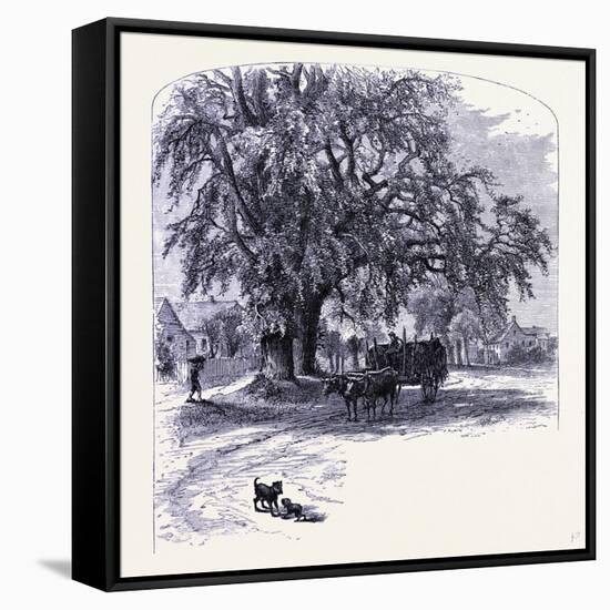Old Saybrook United States of America-null-Framed Stretched Canvas