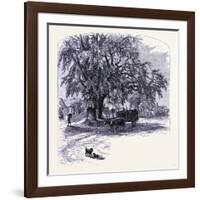 Old Saybrook United States of America-null-Framed Giclee Print