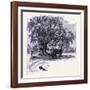 Old Saybrook United States of America-null-Framed Giclee Print