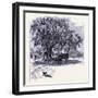 Old Saybrook United States of America-null-Framed Giclee Print