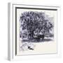 Old Saybrook United States of America-null-Framed Giclee Print