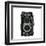 Old School Classic Tlr Camera-andeo-Framed Art Print