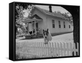 Old School House Now Inhabited by House Painter Charlie Harris-Walter Sanders-Framed Stretched Canvas