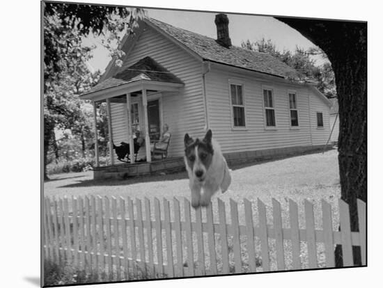 Old School House Now Inhabited by House Painter Charlie Harris-Walter Sanders-Mounted Photographic Print