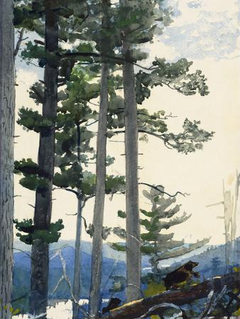 Breezing Up Giclee Fine Art Print on Canvas Wall Decor 48" Winslow Homer 