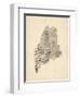 Old Sheet Music Map of Maine-Michael Tompsett-Framed Art Print