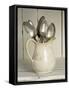 Old Silver Spoon in Light Coloured Ceramic Jug-Ellen Silverman-Framed Stretched Canvas