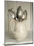 Old Silver Spoon in Light Coloured Ceramic Jug-Ellen Silverman-Mounted Photographic Print