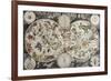 Old Sky Map Depicting Boreal And Austral Hemispheres With Constellations And Zodiac Signs-marzolino-Framed Art Print