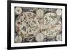 Old Sky Map Depicting Boreal And Austral Hemispheres With Constellations And Zodiac Signs-marzolino-Framed Art Print