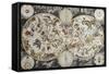 Old Sky Map Depicting Boreal And Austral Hemispheres With Constellations And Zodiac Signs-marzolino-Framed Stretched Canvas