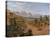 Old Spanish Trail-Bill Makinson-Stretched Canvas