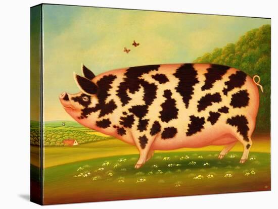Old Spot Pig, 1998-Frances Broomfield-Stretched Canvas