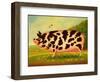 Old Spot Pig, 1998-Frances Broomfield-Framed Giclee Print