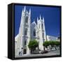 Old St. Mary's Church in San Francisco, California, United States of America, North America-Tony Gervis-Framed Stretched Canvas