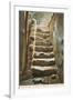 Old Steps, Mission Concepcion, San Antonio, Texas-null-Framed Art Print