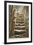 Old Steps, Mission Concepcion, San Antonio, Texas-null-Framed Art Print