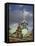 Old Stock Exchange, Copenhagen, Denmark, Scandinavia, Europe-Frank Fell-Framed Stretched Canvas