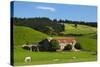 Old Stone Barn and Farmland, Near Taieri Mouth, Dunedin, Otago, South Island, New Zealand-David Wall-Stretched Canvas