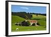 Old Stone Barn and Farmland, Near Taieri Mouth, Dunedin, Otago, South Island, New Zealand-David Wall-Framed Photographic Print