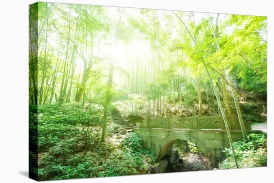 Old Stone Bridge and Lush Foliage in the Yun Qi Bamboo Forest, Zhejiang, China-Andreas Brandl-Stretched Canvas