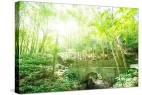 Old Stone Bridge and Lush Foliage in the Yun Qi Bamboo Forest, Zhejiang, China-Andreas Brandl-Stretched Canvas