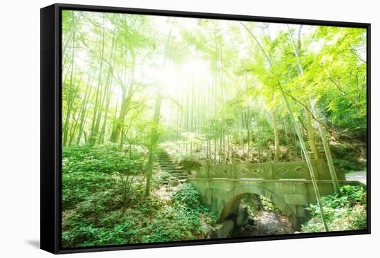 Old Stone Bridge and Lush Foliage in the Yun Qi Bamboo Forest, Zhejiang, China-Andreas Brandl-Framed Stretched Canvas