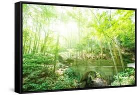 Old Stone Bridge and Lush Foliage in the Yun Qi Bamboo Forest, Zhejiang, China-Andreas Brandl-Framed Stretched Canvas