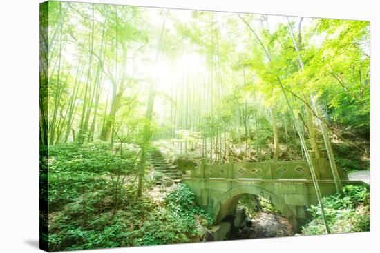 Old Stone Bridge and Lush Foliage in the Yun Qi Bamboo Forest, Zhejiang, China-Andreas Brandl-Stretched Canvas