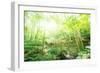 Old Stone Bridge and Lush Foliage in the Yun Qi Bamboo Forest, Zhejiang, China-Andreas Brandl-Framed Photographic Print