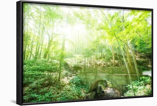 Old Stone Bridge and Lush Foliage in the Yun Qi Bamboo Forest, Zhejiang, China-Andreas Brandl-Framed Photographic Print